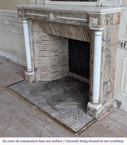 Cheminée de style Directoire bicolore en marbre décorée de papillons Cheminée de style Directoire bicolore en marbre décorée de papillons-6