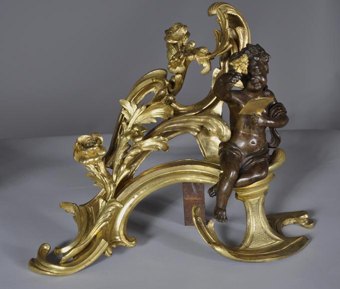 Belle paire de chenets anciens d'époque Louis XV aux Allégories de l'Eté en bronze doré et bronze à patine brune-4