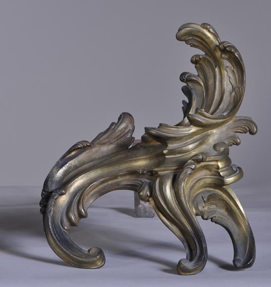 Petite paire de chenets de style Louis XV en bronze-1