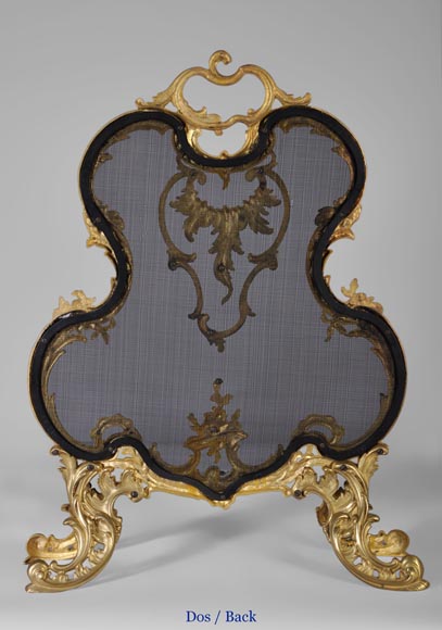 Pare étincelles ancien de style Louis XV en bronze doré, décor de feuillages et fleurs-6