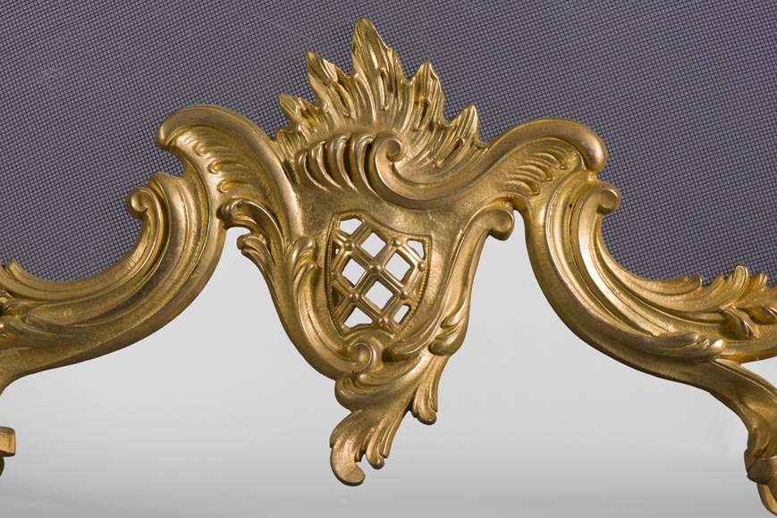 Pare étincelles ancien de style Louis XV en bronze doré à décor d'oiseaux et d'attributs musicaux-4