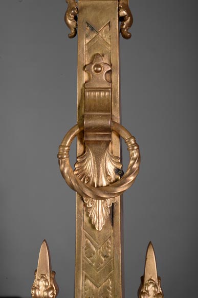 Paire de chenets ancienne de style Napoléon III en bronze doré aux têtes de lions -7