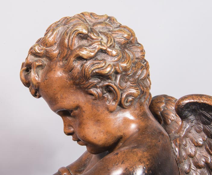 Paire de chenets aux putti et chimères, en bronze à deux patines-6