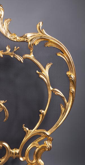 Pare-étincelles anciens de style Louis XV en bronze doré-3