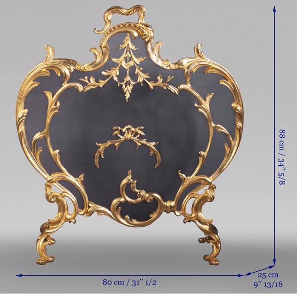 Pare-étincelles anciens de style Louis XV en bronze doré-9