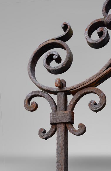 Rare puits ancien du XIXè siècle en fonte de fer et fer forgé-2