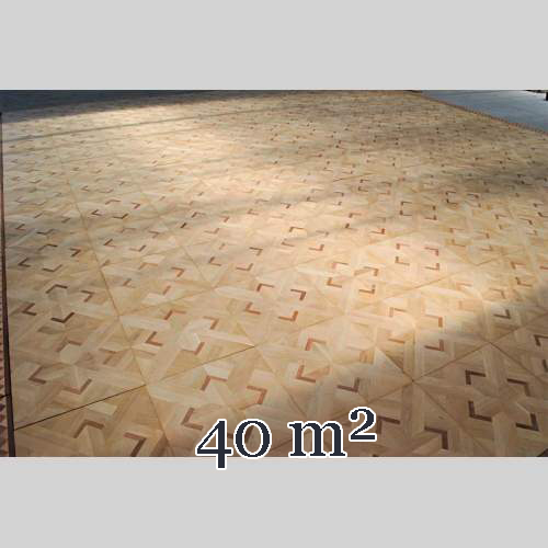Beau parquet ancien en chêne et acajou avec sa frise marquetée d'une surface de 40 m2