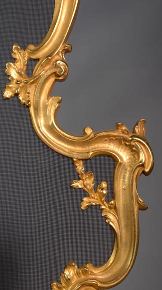 Pare étincelle de style Louis XV en bronze doré aux roses-3