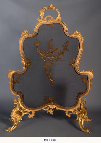 Pare étincelle de style Louis XV en bronze doré aux roses-5