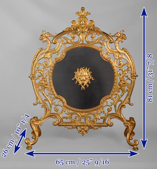 Pare étincelle en bronze doré de style Napoléon III aux mascarons de lion et de putto-8