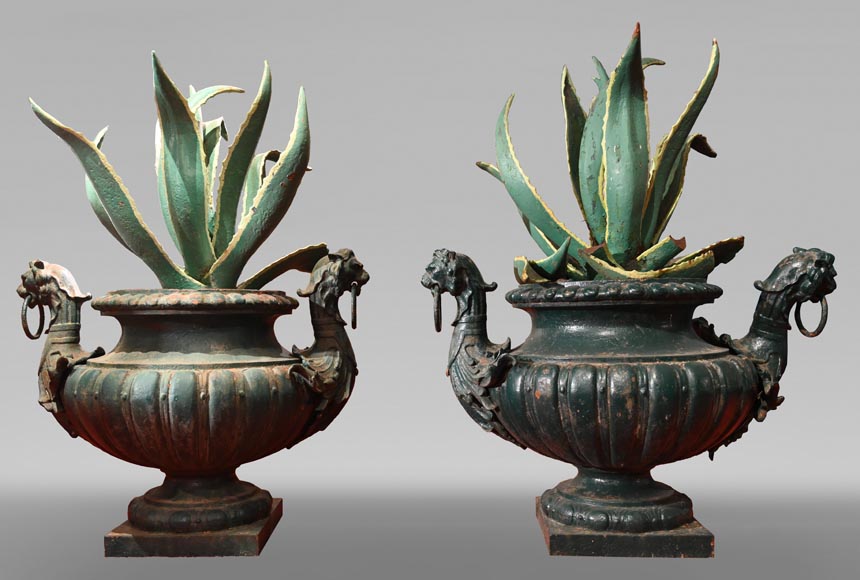 Paire de vases en fonte avec des agaves-0