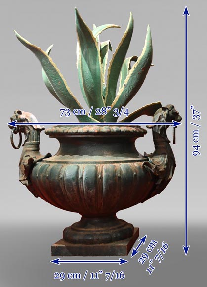 Paire de vases en fonte avec des agaves-9