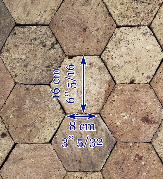 Lot d'environ 3,5 m² de dalles hexagonales anciennes en terre cuite, XIXe siècle-6