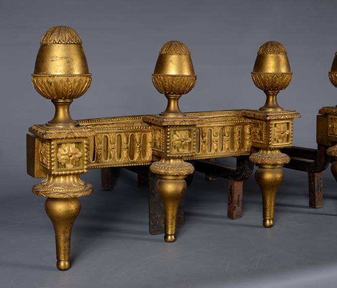 Paire de chenets en bronze doré de style Louis XVI-2