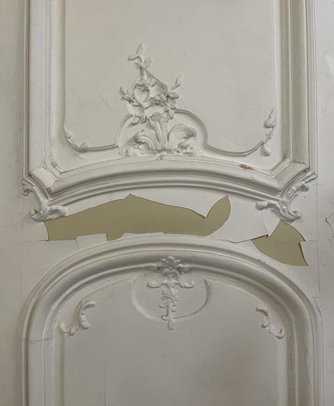 Exceptionnelle paire de double portes galbées de style Louis XV, décorées sur les deux faces-14
