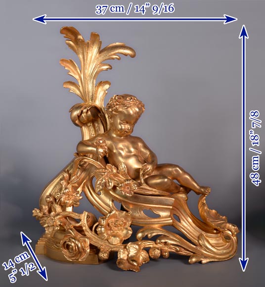 Paire de chenets Napoléon III en bronze doré représentant Vénus et Bacchus enfant -9