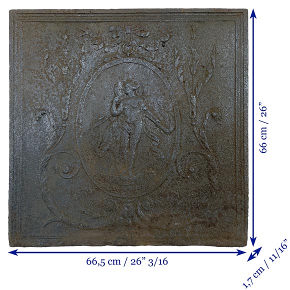 Plaque de cheminée en fonte représentant Vénus dans un médaillon-8