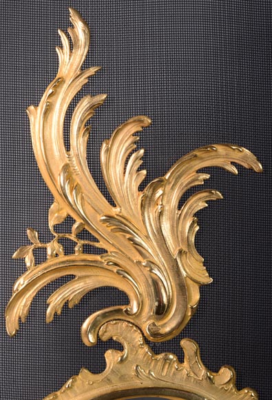 Pare-étincelle de style Louis XV en bronze doré au décor végétal-1