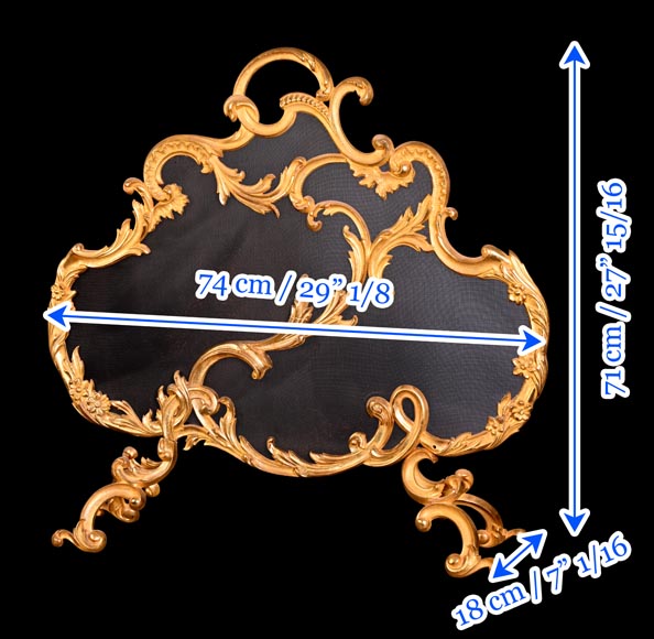 Pare-étincelles en bronze redoré de style Rocaille, travail asymétrique-7