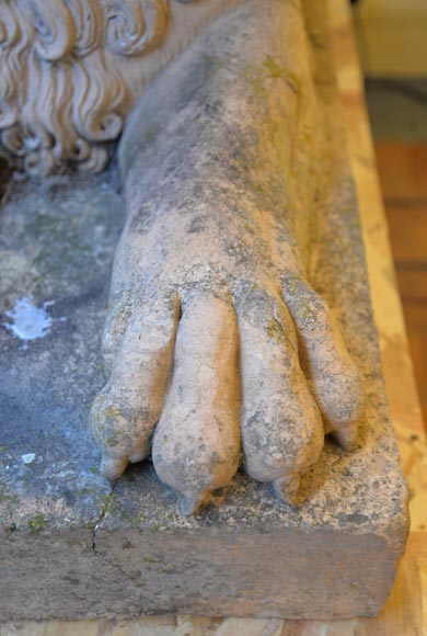 Paire de statues de lion en terre cuite, XVIIIe siècle-4