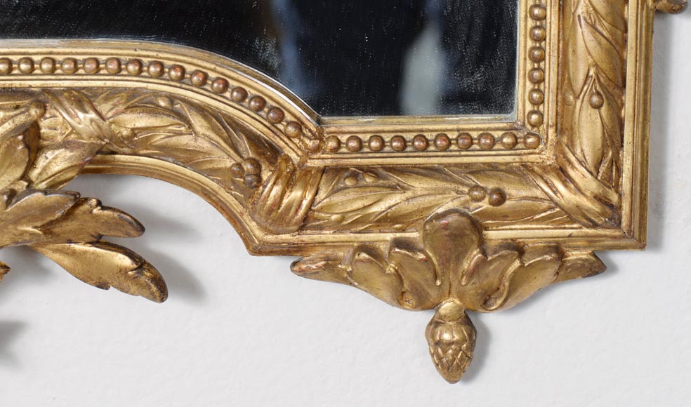 Miroir doré aux guirlandes de fleurs de style Louis XVI à parcloses et verre biseauté-8