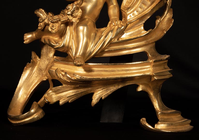 Paire de chenets ou de chenets Art nouveau en laiton et en fer - forme