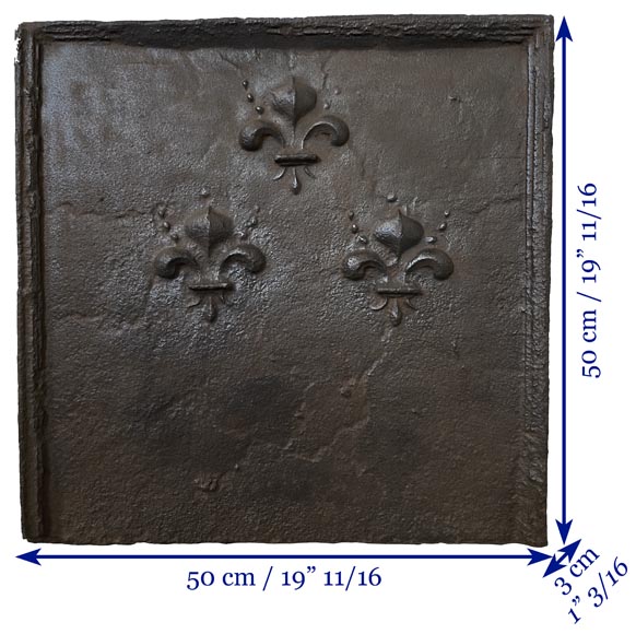 Petite plaque de cheminée aux trois fleurs de lys-8
