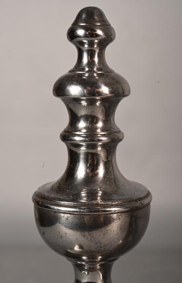 Paire de chenêts en bronze poli, XIXe siècle-3