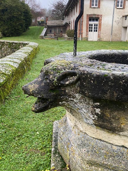 Puits doté d'une margelle à la tête de loup-7