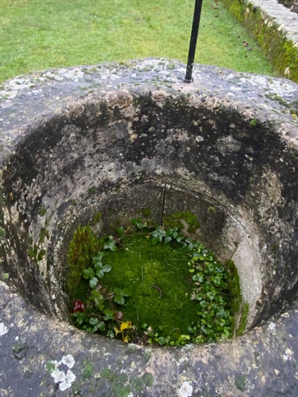 Puits doté d'une margelle à la tête de loup-11