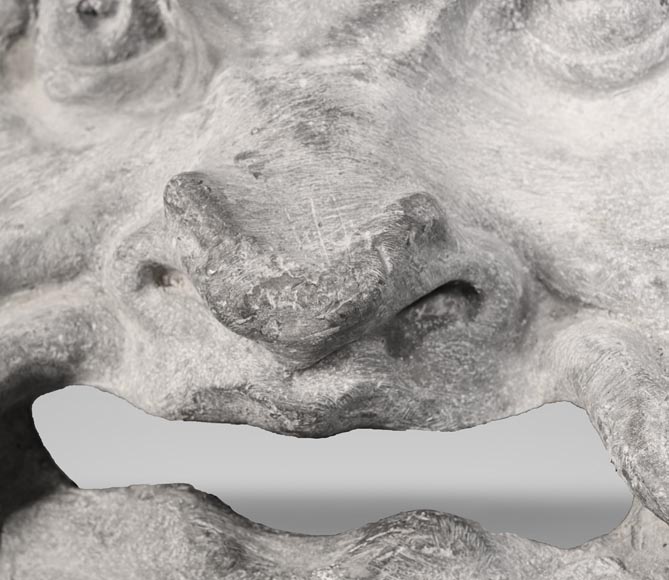 Masque de fontaine 