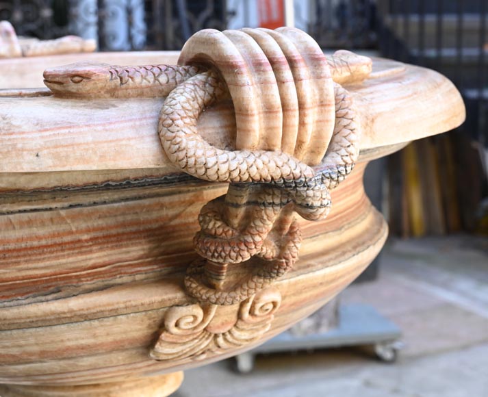 Paire de vases monumentaux XIXe en albâtre onyx enrubanné-5
