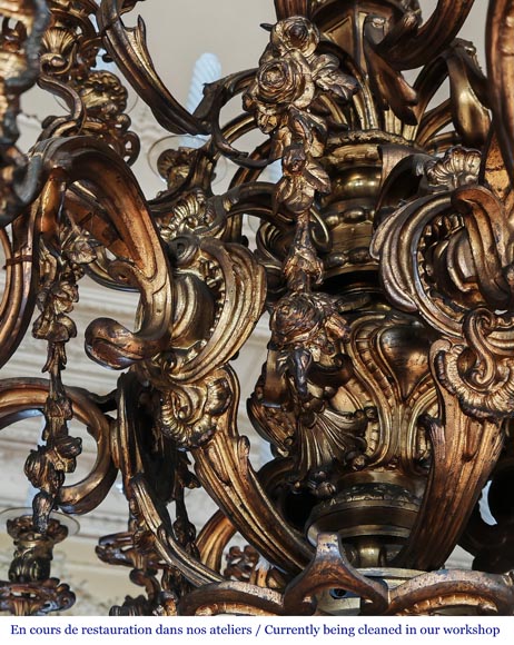 Important lustre de style Louis XV à 36 bras de lumière, en bronze doré-6