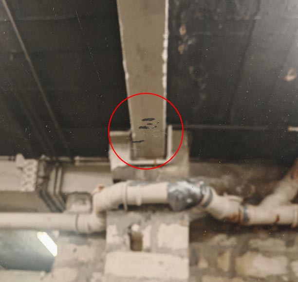 Trumeau doré de style Louis XVI aux instruments de musique Trumeau doré de style Louis XVI aux instruments de musique-8