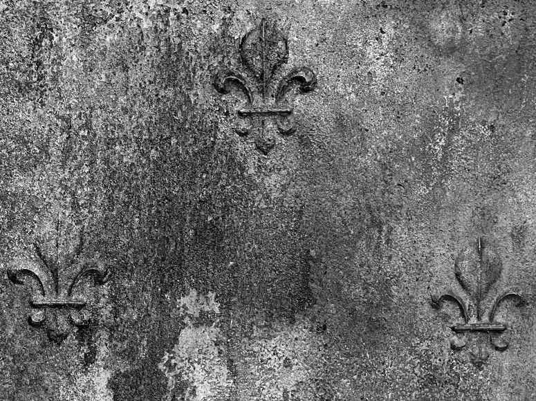 Plaque de cheminée aux fleurs de lys et colonnes d'Hercule-1