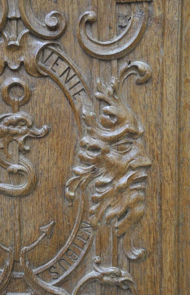 Fausse paire de portes anciennes en chêne sculpté du XIXè siècle-2