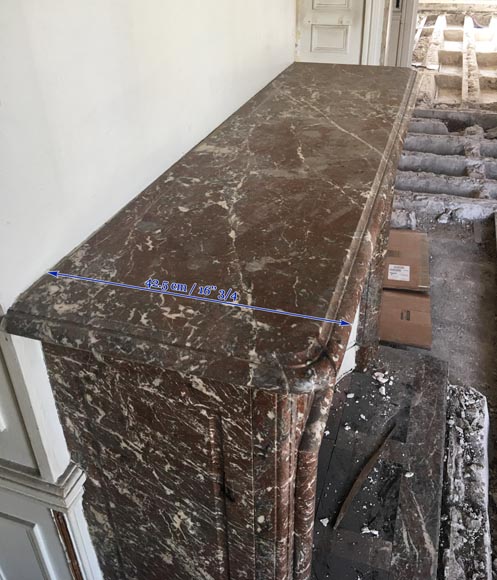 Cheminée ancienne de style Louis XIV en marbre Saint Remy avec son intérieur en fonte-5