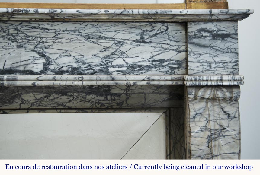 Cheminée ancienne de style Restauration en marbre Bleu Fleuri-6