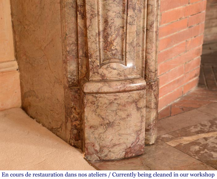 Cheminée ancienne de style Régence richement sculptée, en marbre Sarrancolin Ilhet-8