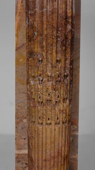 Cheminée de style Louis XVI à colonnes détachées en marbre Sarrancolin -5