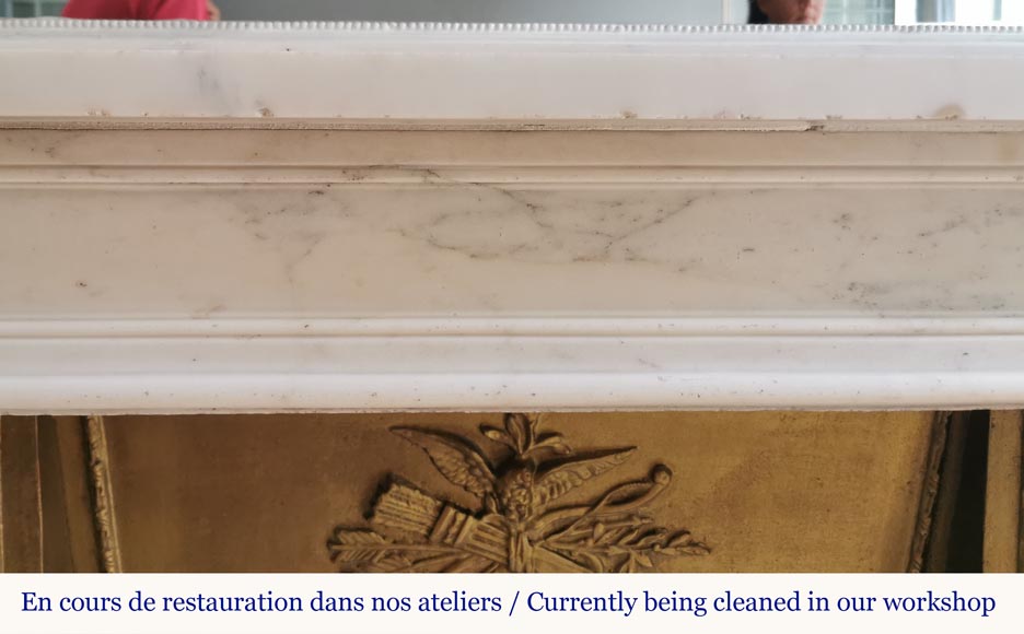 Cheminée d'époque Louis XVI en marbre statuaire aux coquelicots-1
