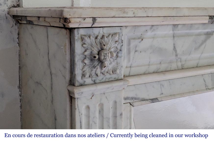 Cheminée de style Louis XVI au tournesol sculptée en marbre Arabescato-3