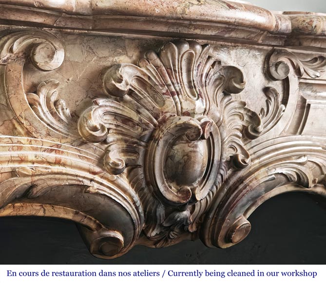 Cheminée de style Louis XV en marbre Sarrancolin très mouvementée-2