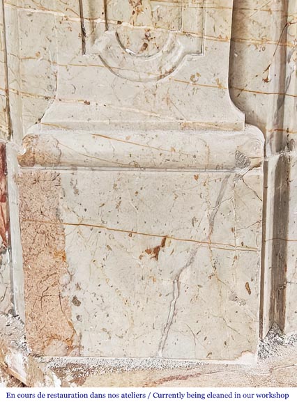 Cheminée de style Louis XV en marbre Sarrancolin très mouvementée-7