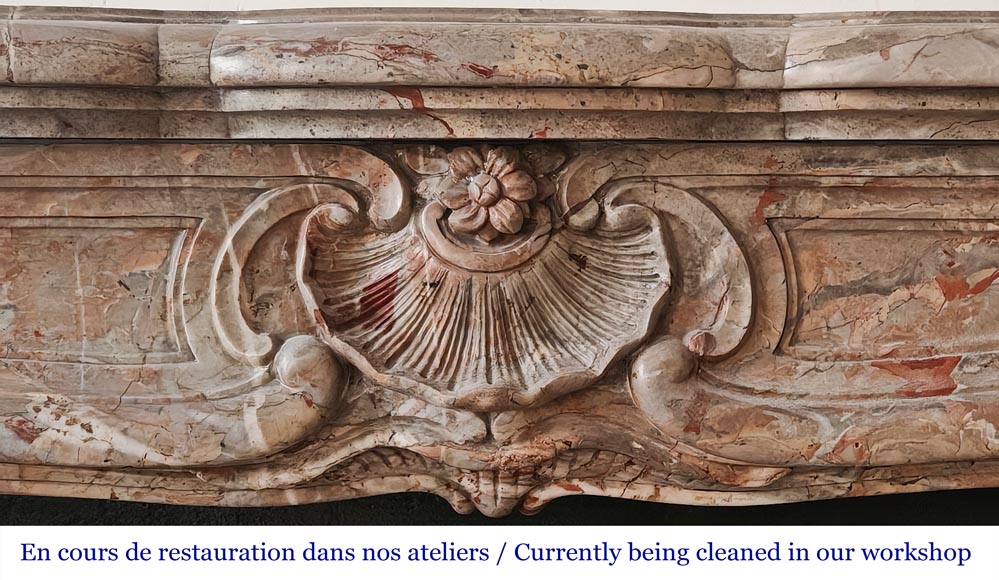 Cheminée de style Louis XV en marbre Sarrancolin-1