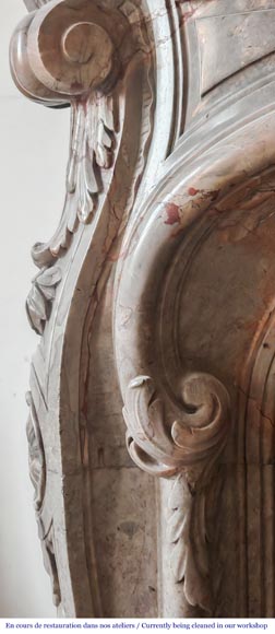 Cheminée de style Louis XV en marbre Sarrancolin-6